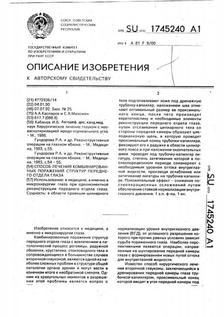 Способ лечения комбинированных поражений структур переднего отдела глаза (патент 1745240)