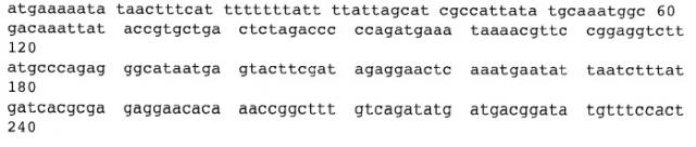 Мутантный термолабильный энтеротоксин e.coli (патент 2441879)