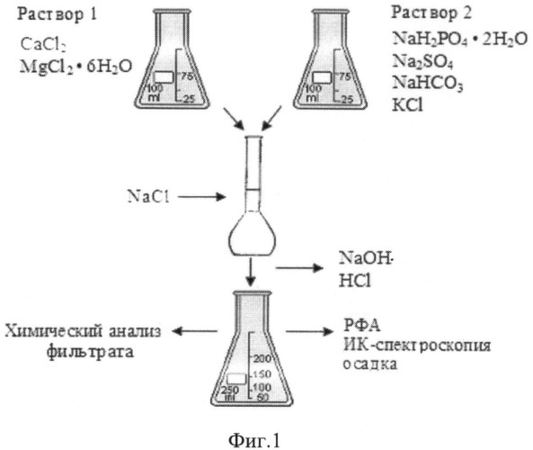 Способ моделирования костной кристаллизации при коксартрозе in vitro (патент 2496150)