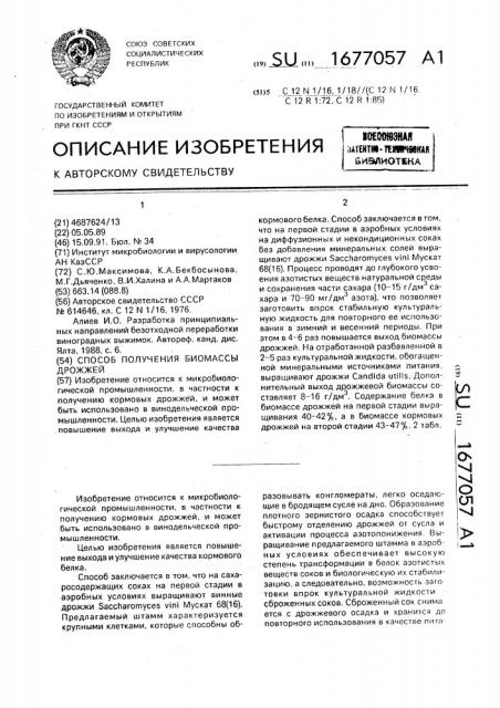 Способ получения биомассы дрожжей (патент 1677057)