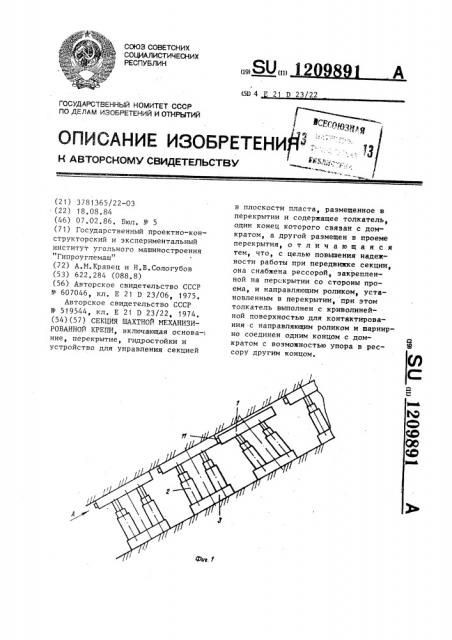 Секция шахтной механизированной крепи (патент 1209891)