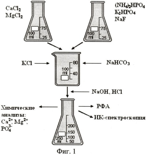 Способ изучения влияния глюкозы на процесс образования зубного камня (патент 2432620)