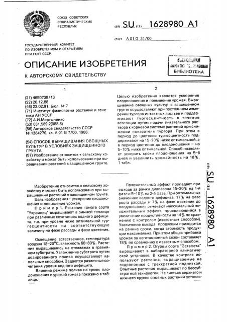 Способ выращивания овощных культур в условиях защищенного грунта (патент 1628980)