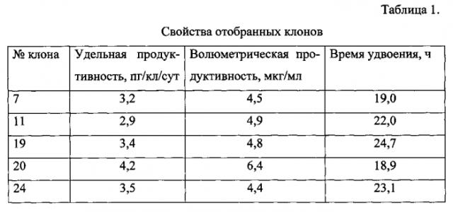 Штамм клеток яичников китайского хомячка - продуцент рекомбинантного антитела против фактора некроза опухоли альфа человека (патент 2556816)