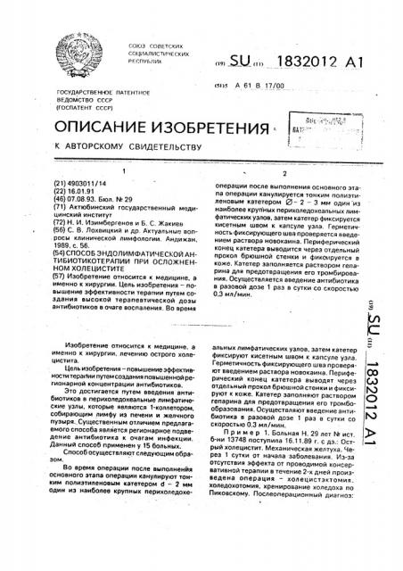 Способ эндолимфатической антибиотикотерапии при осложненном холецистите (патент 1832012)