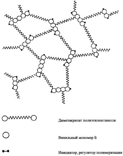 Гидрогель (патент 2368627)