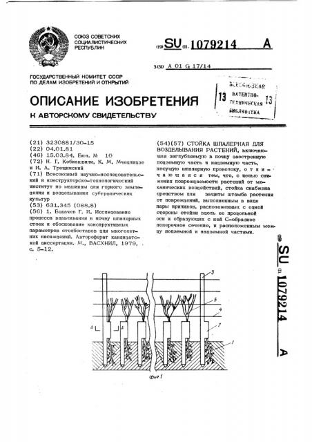 Стойка шпалерная для возделывания растений (патент 1079214)