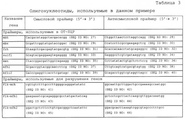 Новая гидрогеназа seq id no:5, очищенная из thermococcus onnurienus na1 с помощью моноokcида углерода, кодирующие ее гены, и способы получения водорода с использованием микроорганизма, имеющего указанные гены (патент 2460789)