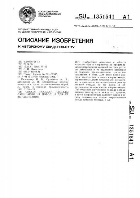 Способ посадки рассады ламинарии на поводцы для ее выращивания (патент 1351541)