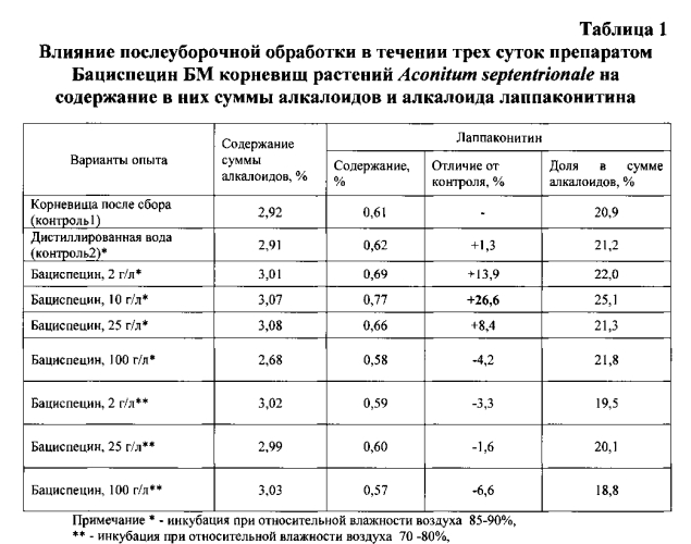 Способ повышения содержания алкалоида лаппаконитина в заготовленных корневищах aconitum septentrionale koelle (патент 2580042)