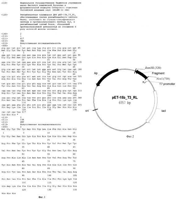 Рекомбинантная плазмидная днк pet-15b_t3_rl, обеспечивающая синтез рекомбинантного слитого белка, состоящего из опухоль-специфического пептида и противоопухолевого пептида rl2, и рекомбинантный слитый белок, обладающий противоопухолевой активностью по отношению к раку молочной железы человека (патент 2619053)
