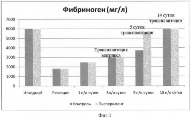 Способ и трансплантат для лечения печеночной недостаточности (патент 2425646)