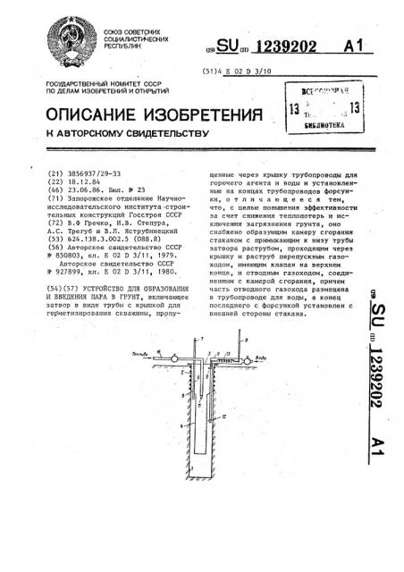 Устройство для образования и введения пара в грунт (патент 1239202)