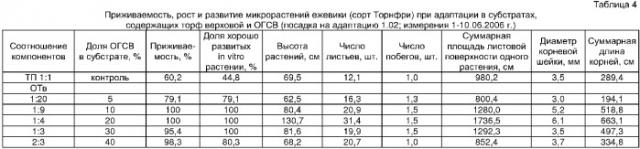 Cпособ доращивания in vitro растений ягодных и декоративных кустарников в нестерильных условиях (патент 2366153)