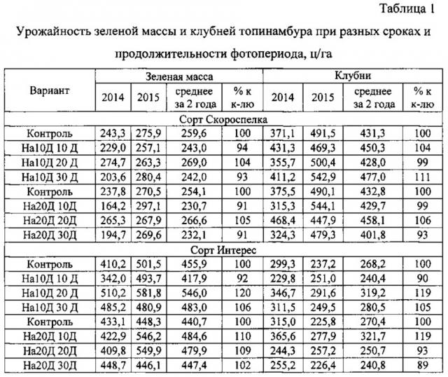 Способ увеличения продуктивности топинамбура (патент 2619306)