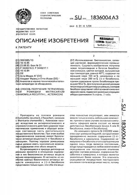 Способ получения тетраплоидной ромашки матriсаriuм снамомillа rесuтiтаl.,астеrасеае (патент 1836004)