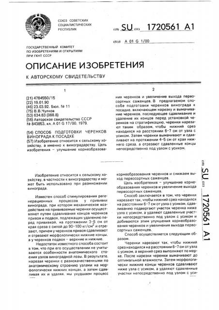 Способ подготовки черенков винограда к посадке (патент 1720561)