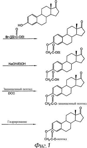 Биологически активный пептид, состоящий из трипептида l-тирозил-l-серил-l-валина (патент 2337921)