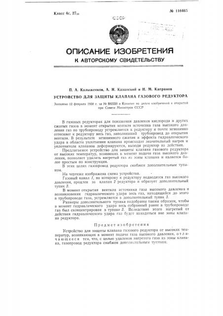 Устройство для защиты клапана газового редуктора (патент 116465)