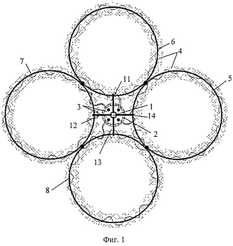 Способ формирования структуры кроны виноградника (вариант русской логики - версия 5) (патент 2477601)