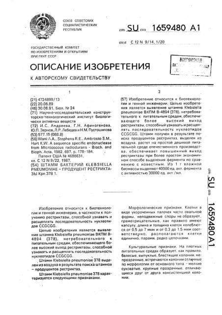 Штамм бактерий кlевsiеllа рnеuмоniае-продуцент рестриктазы кр @ 378 1 (патент 1659480)