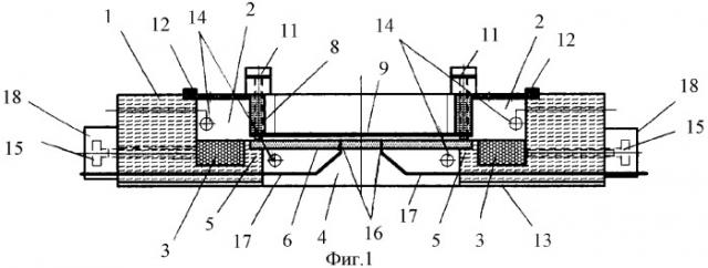 Камера для электрофореза клеток (патент 2314521)