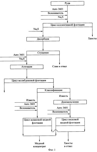 Способ флотации медно-молибденовых руд (патент 2333042)