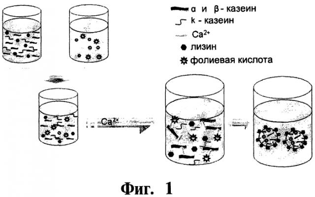 Наночастица (варианты), ее содержащая композиция, включающий названную композицию продукт питания и способ получения наночастиц (варианты) (патент 2552957)