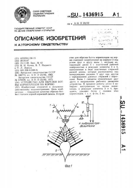 Устройство для обрезки ботвы корнеплодов на корню (патент 1436915)