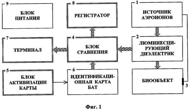 Устройство для идентификации личности (патент 2307586)