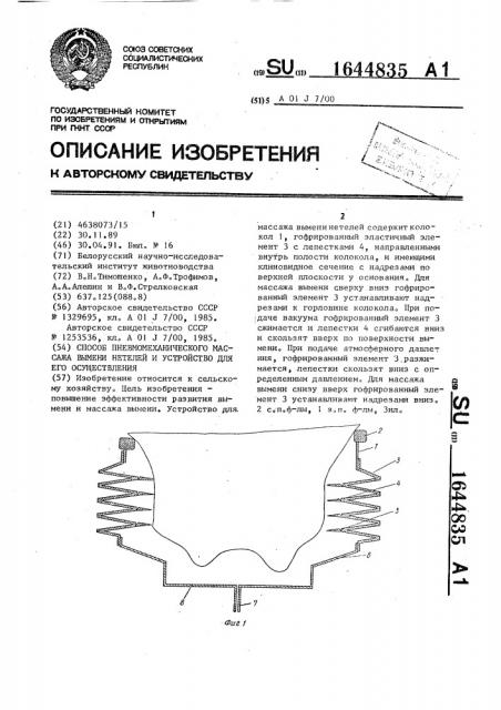 Способ пневмомеханического массажа вымени нетелей и устройство для его осуществления (патент 1644835)