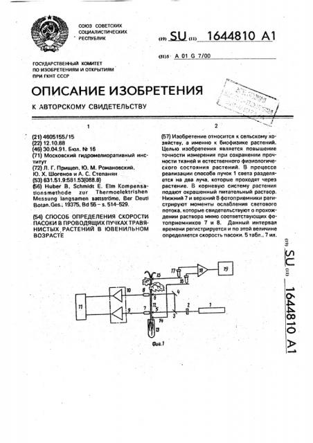 Способ определения скорости пасоки в проводящих пучках травянистых растений в ювенильном возрасте (патент 1644810)