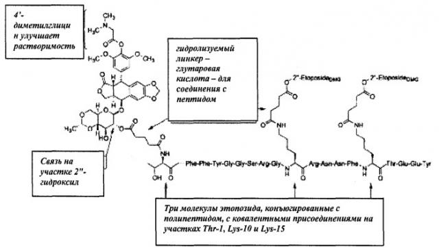 Конъюгаты этопозида и доксорубицина для доставки лекарственных средств (патент 2531591)