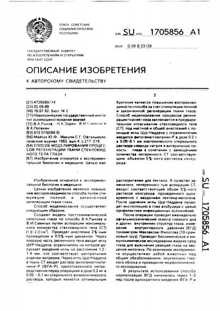 Способ моделирования процессов регенерации ткани стекловидного тела глаза (патент 1705856)