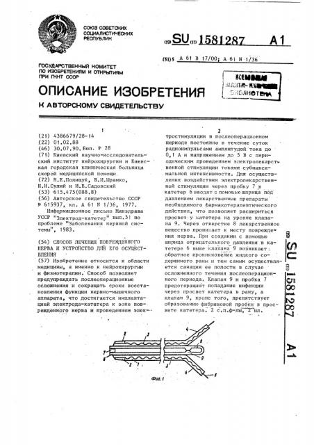 Способ лечения поврежденного нерва и устройство для его осуществления (патент 1581287)