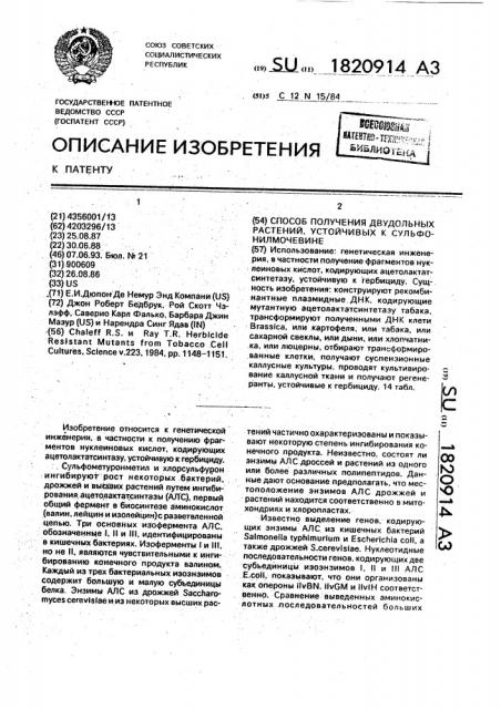 Способ получения двудольных растений, устойчивых к сульфонилмочевине (патент 1820914)