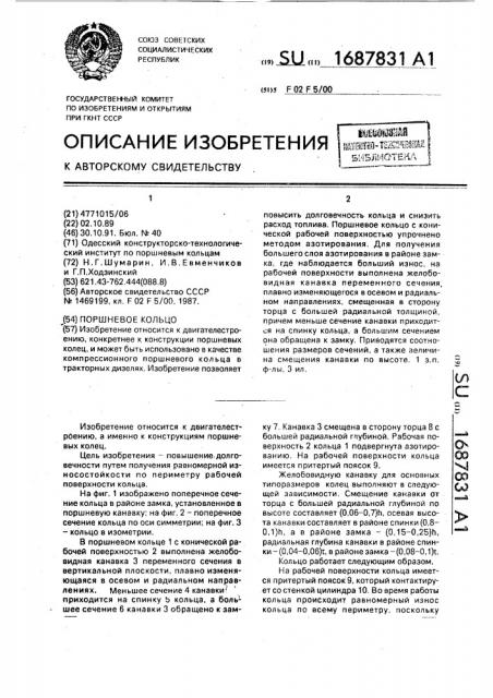 Поршневое кольцо (патент 1687831)