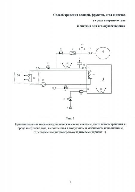 Способ хранения овощей, фруктов, ягод и цветов в среде инертного газа и система для его осуществления (варианты) (патент 2632865)