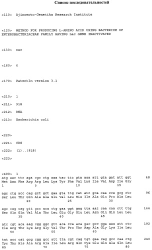 Способ получения l-треонина или l-лизина с использованием бактерии, принадлежащей к роду escherichia, в которой инактивирован ген nac (патент 2315810)