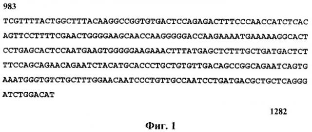Набор олигонуклеотидных праймеров для идентификации рнк вируса крымской-конго геморрагической лихорадки в полевых и клинических образцах (патент 2294963)