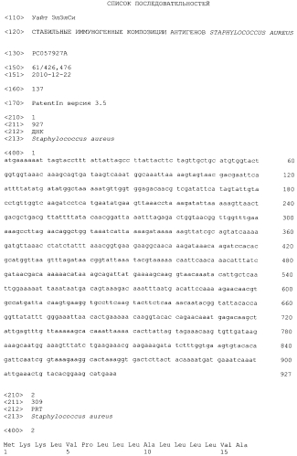 Стабильные иммуногенные композиции антигенов staphylococcus aureus (патент 2570730)
