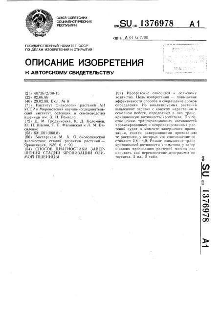 Способ диагностики завершения стадии яровизации озимой пшеницы (патент 1376978)