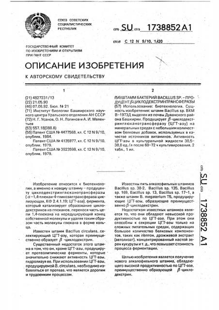 Штамм бактерий bacillus sp.-продуцент @ - циклодекстринтрансферазы (патент 1738852)