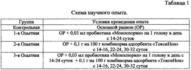 Способ повышения качества продукции при выращивании цыплят-бройлеров (патент 2632935)