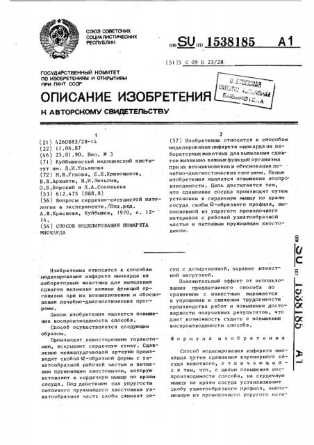 Способ моделирования инфаркта миокарда (патент 1538185)