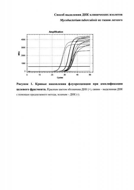 Способ выделения днк клинических изолятов mycobacterium tuberculosis из ткани легкого (патент 2659197)