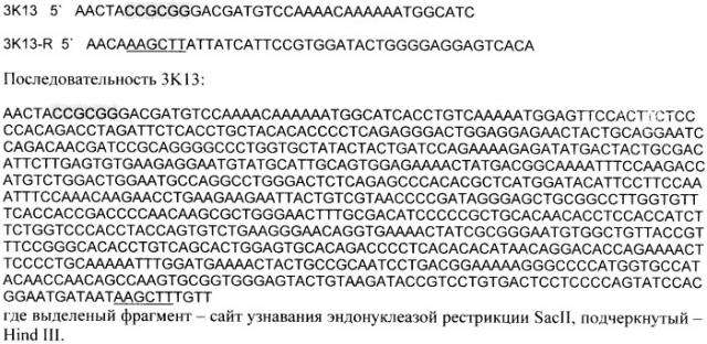Рекомбинантный гибридный полипептид, способный ингибировать пролиферацию эндотелиальных клеток человека in vitro, и способ его получения (патент 2465283)