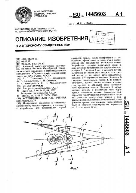 Устройство для извлечения корнеплодов (патент 1445603)