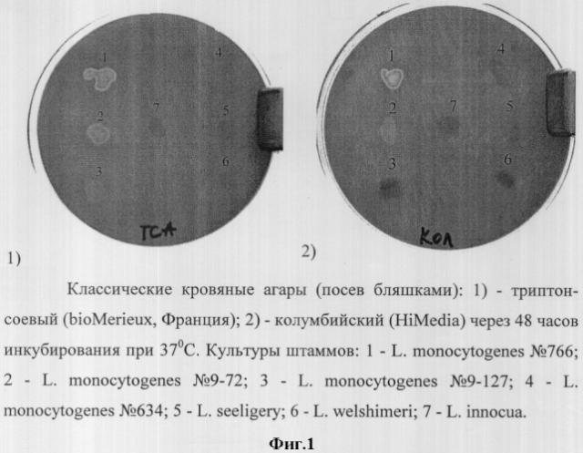 Среда для определения гемолитической активности культур рода listeria (патент 2318022)