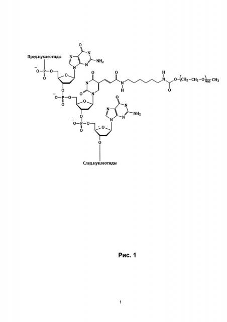Антикоагулянт прямого действия на основе модульного бивалентного днк аптамера, селективного к тромбину (патент 2631829)